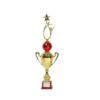 CRICKET TROPHY