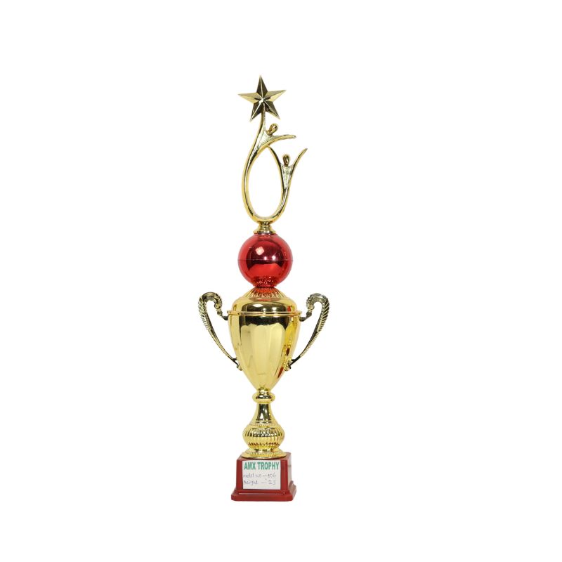 CRICKET TROPHY