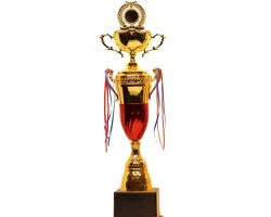 Fiber Sports Cup Trophy